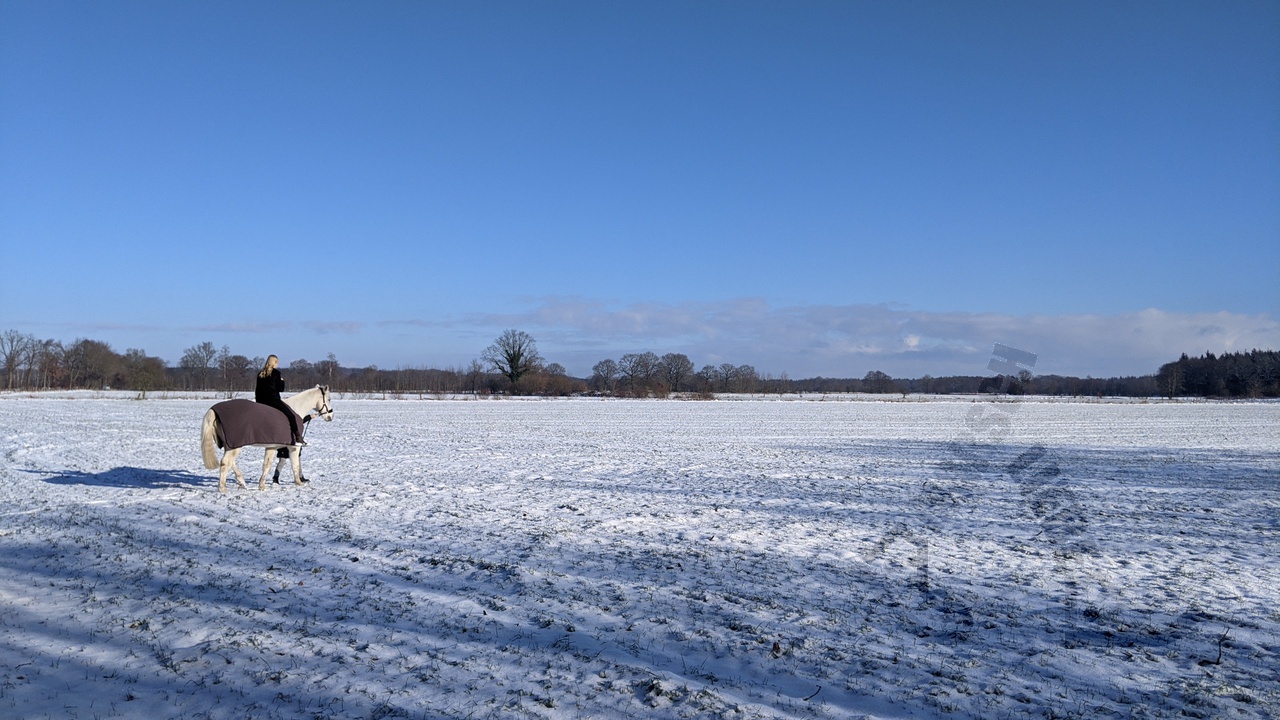 winterwanderung-2026