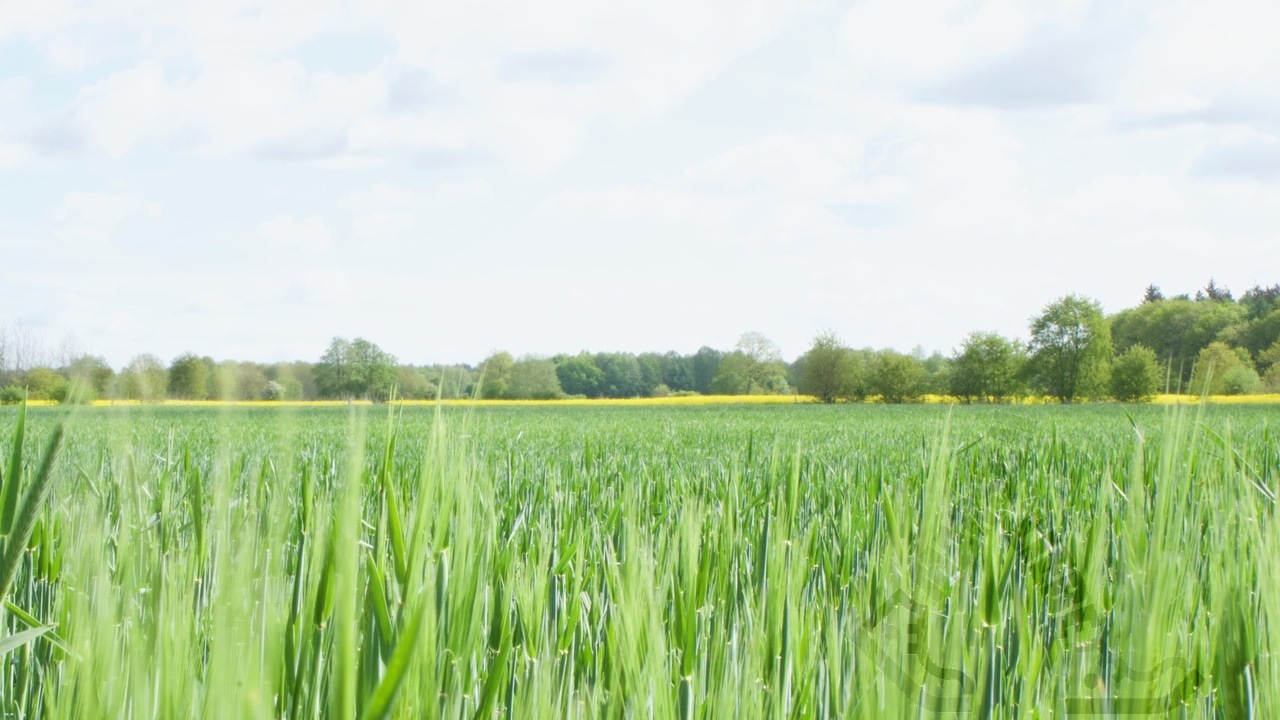 wanderung-durchs-auenland-2026