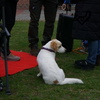 WdA-2026-04-25_17_44_48